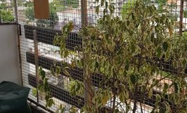 Yrigoyen 6600 - Remedios De Escalada