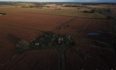 Venta campo 8 has con casa y galpon en  Diego Gaynor.