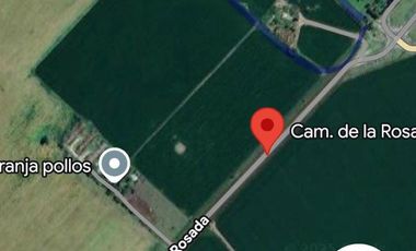 Venta campo 8 has con casa y galpon en  Diego Gaynor.