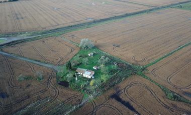 Venta campo 8 has con casa y galpon en  Diego Gaynor.