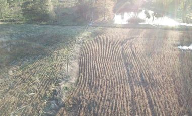 Venta campo 8 has con casa y galpon en  Diego Gaynor.