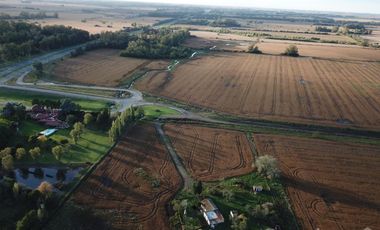 Venta campo 8 has con casa y galpon en  Diego Gaynor.