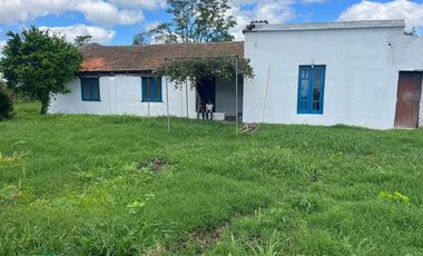 Venta campo 8 has con casa y galpon en  Diego Gaynor.