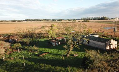 Venta campo 8 has con casa y galpon en  Diego Gaynor.