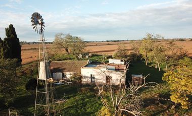Venta campo 8 has con casa y galpon en  Diego Gaynor.