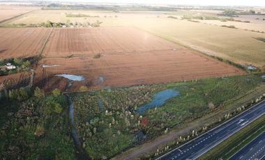 Venta campo 8 has con casa y galpon en  Diego Gaynor.