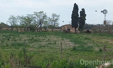 Venta campo 8 has con casa y galpon en  Diego Gaynor.