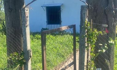 Venta campo 8 has con casa y galpon en  Diego Gaynor.