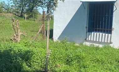 Venta campo 8 has con casa y galpon en  Diego Gaynor.