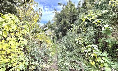 Casa para reciclar o refaccionar en Amplio Terreno