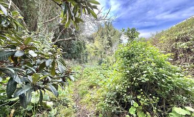 Casa para reciclar o refaccionar en Amplio Terreno