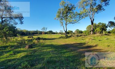 Se vende Campo ganadero forestal - Santa Ana