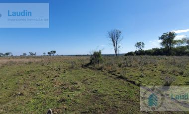 Se vende Campo ganadero forestal - Santa Ana