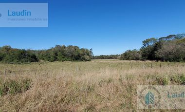Se vende Campo ganadero forestal - Santa Ana