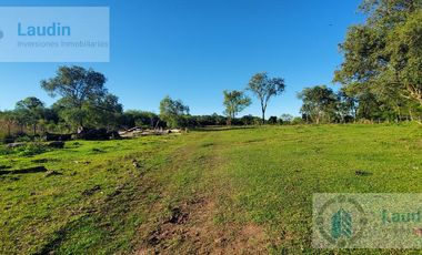 Se vende Campo ganadero forestal - Santa Ana
