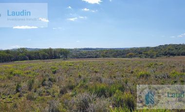 Se vende Campo ganadero forestal - Santa Ana