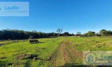 Se vende Campo ganadero forestal - Santa Ana