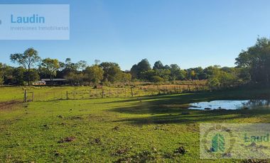 Se vende Campo ganadero forestal - Santa Ana