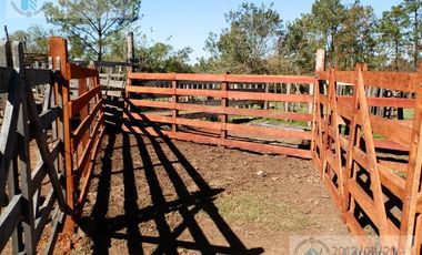 Se vende Campo ganadero forestal - Santa Ana