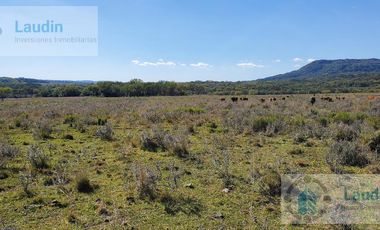 Se vende Campo ganadero forestal - Santa Ana