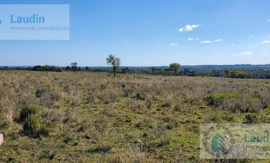 Se vende Campo ganadero forestal - Santa Ana