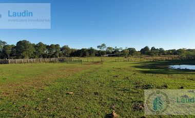 Se vende Campo ganadero forestal - Santa Ana