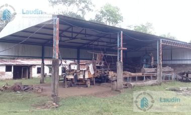 Se vende Campo ganadero forestal - Santa Ana