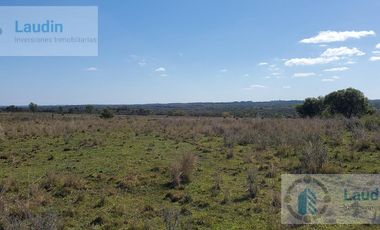 Se vende Campo ganadero forestal - Santa Ana