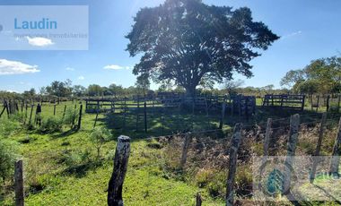 Se vende Campo ganadero forestal - Santa Ana