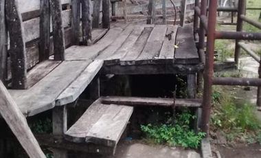 Se vende Campo ganadero forestal - Santa Ana