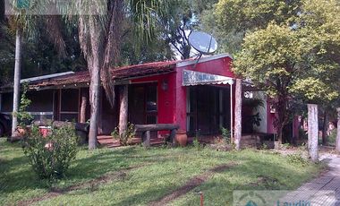 Se vende Campo ganadero forestal - Santa Ana
