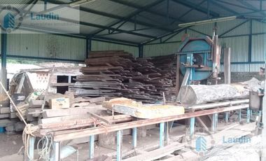 Se vende Campo ganadero forestal - Santa Ana