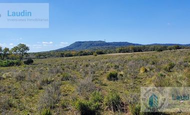 Se vende Campo ganadero forestal - Santa Ana