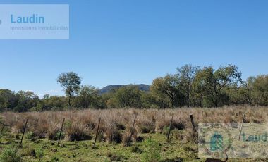 Se vende Campo ganadero forestal - Santa Ana