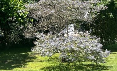 Casa en venta Parque las Naciones Guernica