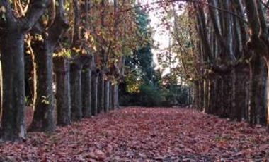 ESCRITURADO - BAJADA NAUTICA - RIO - PILETA - TENIS - FUTBOL