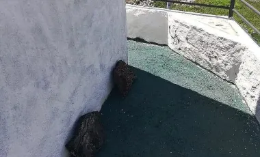 Bodega en venta en Chipilo de Francisco Javier Mina, San Gregorio Atzompa, Puebla