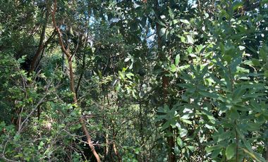 HERMOSO TERRENO EN LAGO PUYEHUE  CON ROL PROPIO