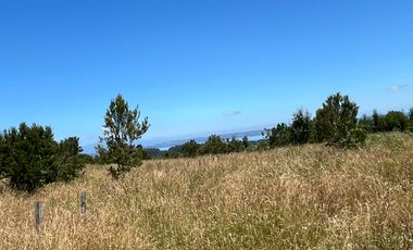 HERMOSO TERRENO EN LAGO PUYEHUE  CON ROL PROPIO