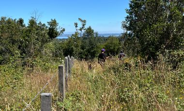 HERMOSO TERRENO EN LAGO PUYEHUE  CON ROL PROPIO
