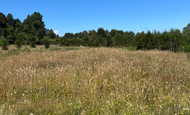 HERMOSO TERRENO EN LAGO PUYEHUE  CON ROL PROPIO