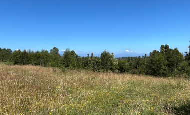 HERMOSO TERRENO EN LAGO PUYEHUE  CON ROL PROPIO