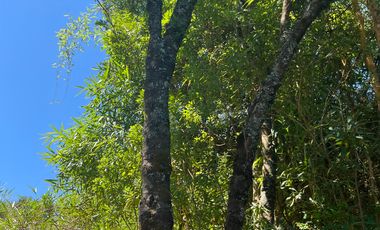 HERMOSO TERRENO EN LAGO PUYEHUE  CON ROL PROPIO