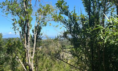 HERMOSO TERRENO EN LAGO PUYEHUE  CON ROL PROPIO