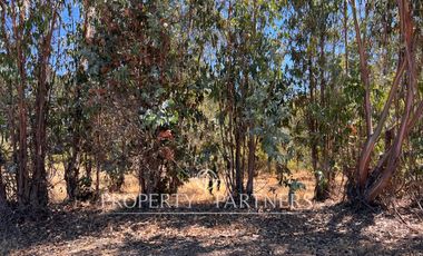 Lindo campo en San Rafael