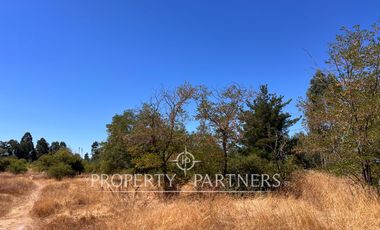 Lindo campo en San Rafael