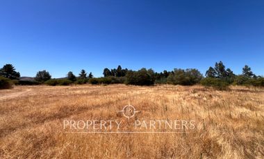 Lindo campo en San Rafael