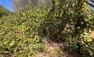 Lindo campo en San Rafael