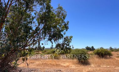 Lindo campo en San Rafael
