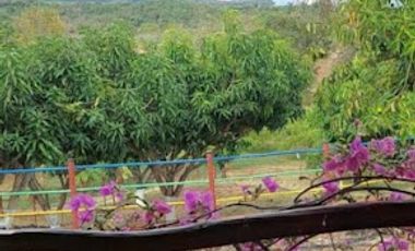 VENTA de FINCAS en RICAURTE